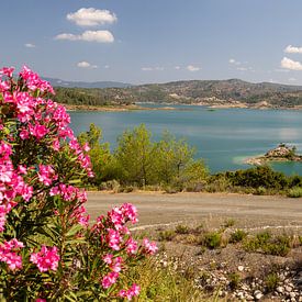 Gezicht op het stuwmeer van Gadoura op het eiland Rhodos van Reiner Conrad