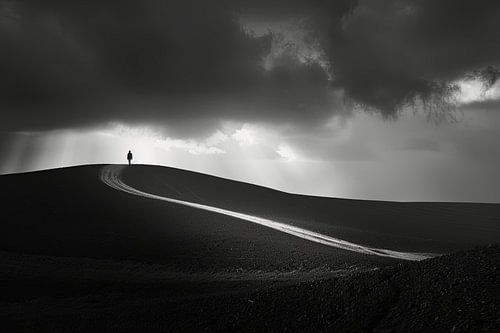 sober portret in landschap in zwartwit