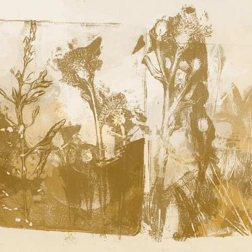 Flowers and grasses in golden yellow, ochre and white by Dina Dankers