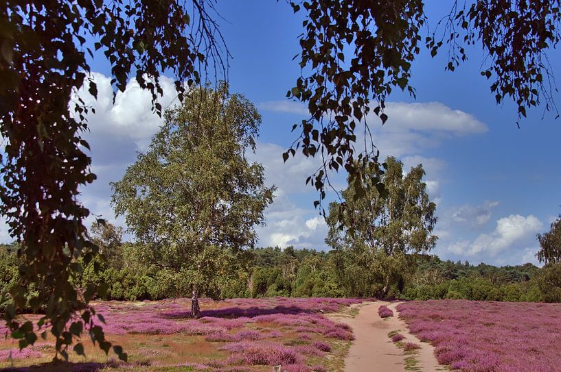 promenade de santé par Edgar Schermaul
