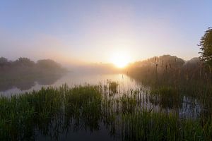 Sonnenaufgang mit Nebel von Remco Van Daalen