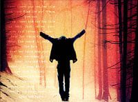 a forest, The Cure