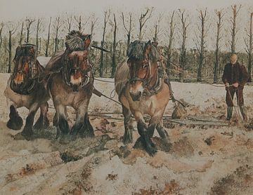 Wende auf dem Kopfacker von Wim Romijn