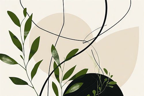 Botanische geometrie