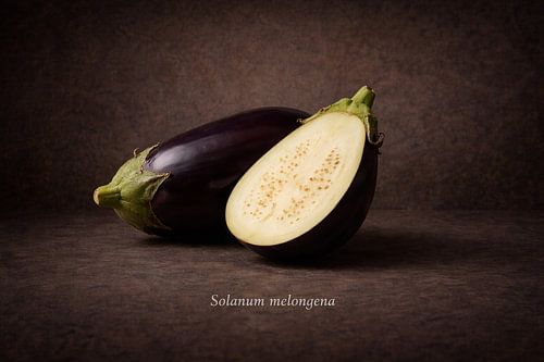 Aubergine