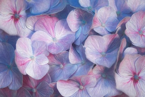 Hydrangea Love by The Art Of Vili