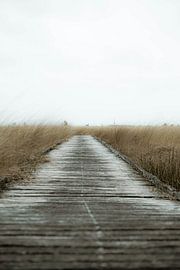 Fochteloërveen by ku nst