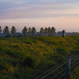 De Dijk van Veerle Addink