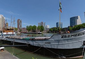 Rotterdams Stadtzentrum vom Maritimen Museum aus von Martin Stevens