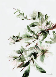 Bloom sur Dan Hobday