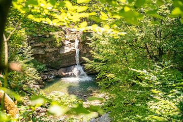 Wasserfall im Gunzesrieder Tal im Allgäu von Leo Schindzielorz