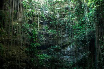 Cenote Mexico van Robert Beekelaar