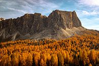 Lastoi de Formin - Veneto - Italië van Felina Photography thumbnail