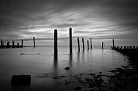 Meerpalen bij avond in de haven van De Cocksdorp, Texel van Hans Kwaspen thumbnail