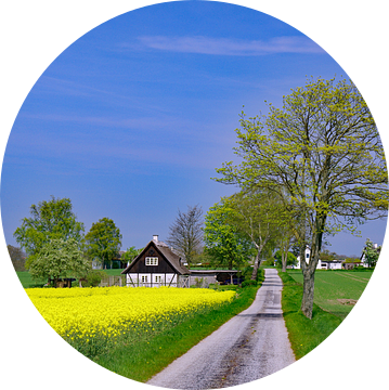 Lente in Denemarken van Reinhard  Pantke