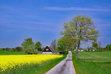 Frühling in Dänemark