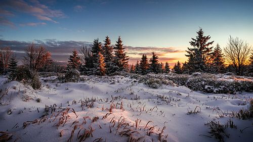 Montagne ensoleillée en hiver