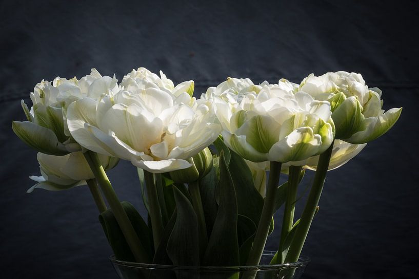 Tulipes blanches en fleur sur le vase par Idema Media