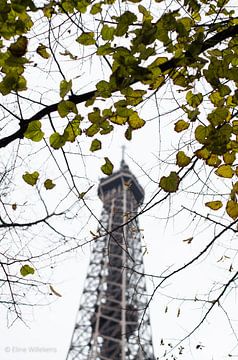 Parijs - Eiffeltoren doorheen de bomen - Kleur van Eline Willekens
