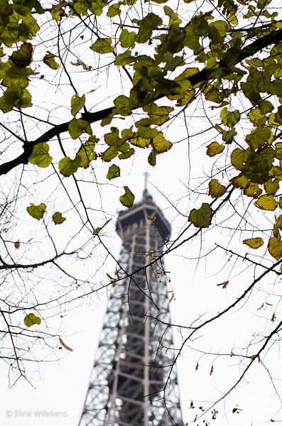 Paris - Eiffel Tower through the trees - Colour by Eline Willekens