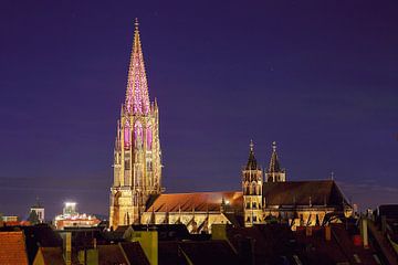 Kathedraal van Freiburg verlicht