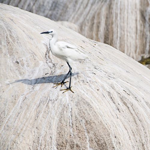 Compositie met zilverreiger
