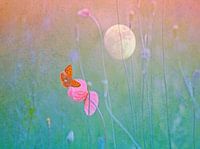 Butterfly by the Poppy and near the Moon