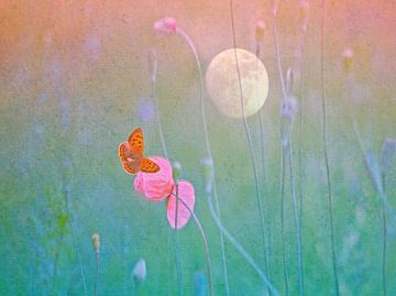 Butterfly by the Poppy and near the Moon van Die Farbenfluesterin