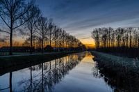 Ochtend in de polder