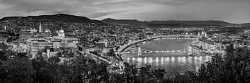 Budapest Skyline noir et blanc