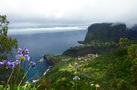 Faial, Madeira. von Michel van Kooten Miniaturansicht
