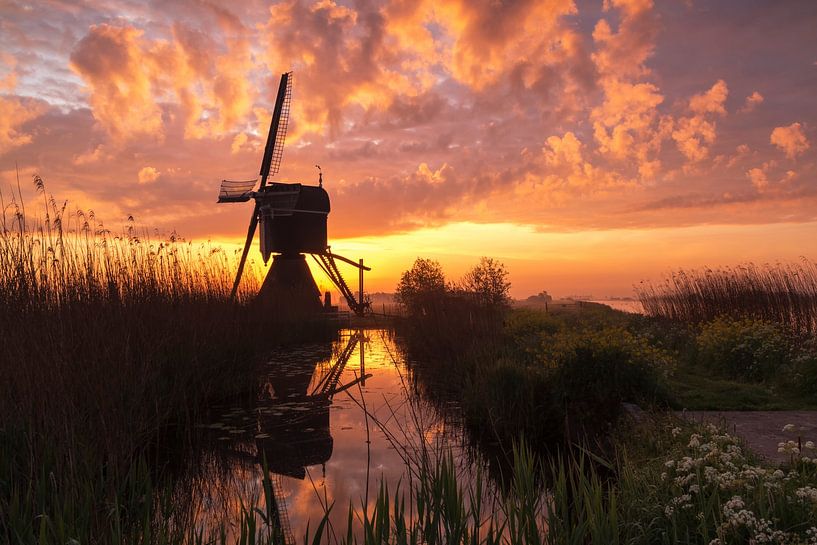 Farbenfroher Sonnenaufgang in Streefkerk von Ilya Korzelius