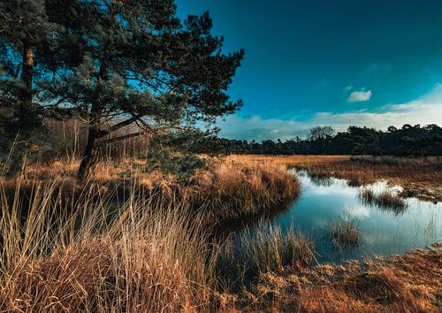 Le Lankheet Haaksbergen