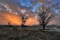 Zonsopkomst in het Bargerveen