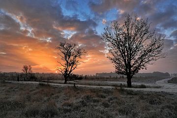 Zonsopkomst in het Bargerveen van Stefan Wiebing Photography