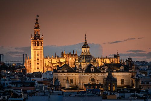 Kathedrale von Sevilla bei Nacht
