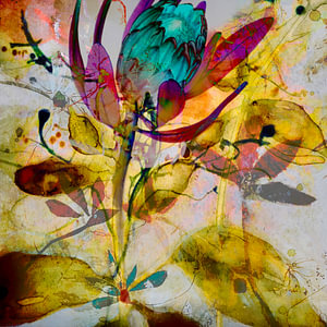 DIE SPRACHE DER BLUMEN