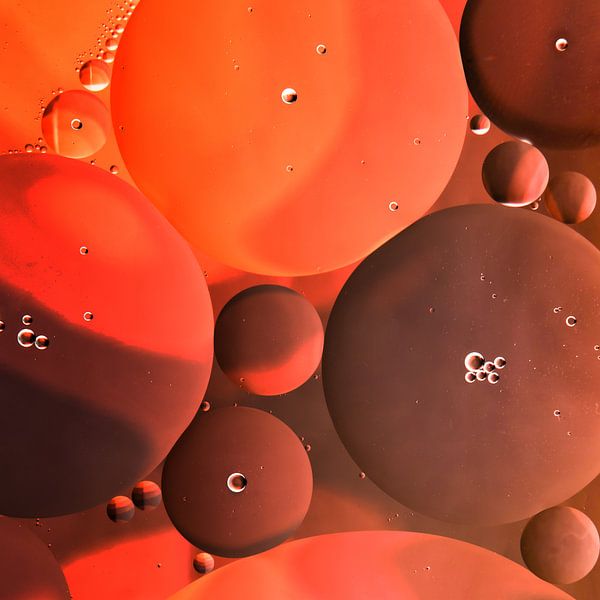 red, orange, brown shades in drops of oil ( square ) by Marjolijn van den Berg