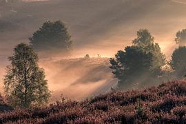 Posbank ( natuur ) by Henk Smit