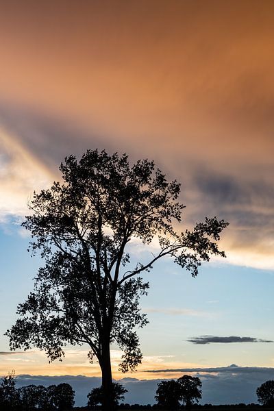 Regen in de lucht met prachtig licht. van Frank Slaghuis