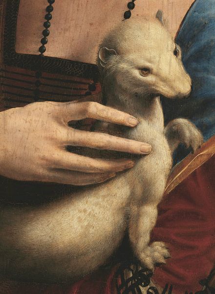 Ausschnitt: Dame mit Hermelin, Leonardo da Vinci von Details der Meister