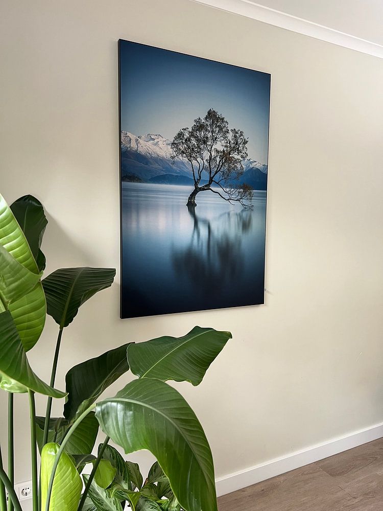 That Wanaka tree  van Lorenzo Visser 