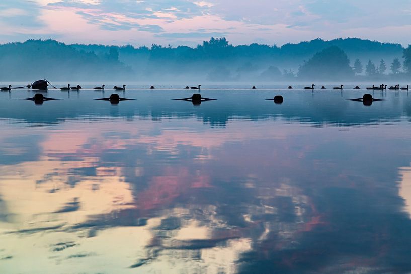 Gänse schwimmen in der Morgendämmerung (2) von Jan van den Broek 2BHAPPY4EVER