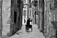 Ciao PALERMO by Silva Wischeropp thumbnail
