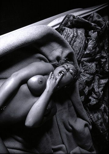 Nackte Frau Kunst Schönheit Kunst sexy Pin-up von Johan Van Der Horn