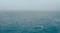 Mer du Nord, minimalisme élégant