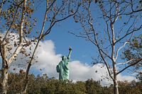 Vrijheidsbeeld New York