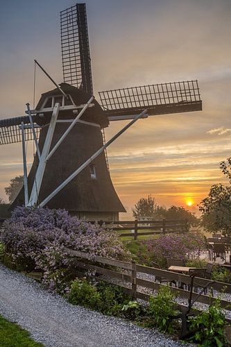 Molen in natuurgebied "Rottige Meente"