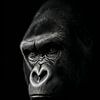 Gorilla Portret in Zwart-Wit – Fine Art Wildlife van Exclusive Photos by Erwin Floor