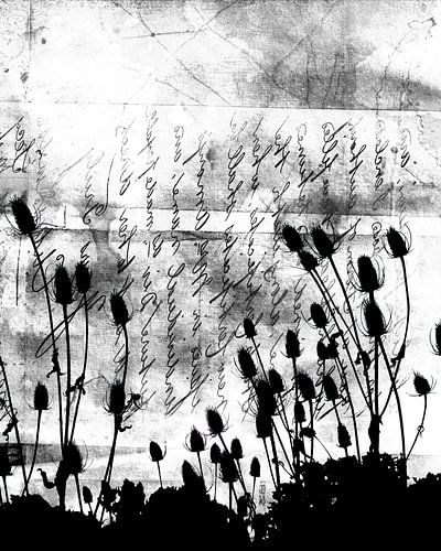 Scandinavische bloemen en planten